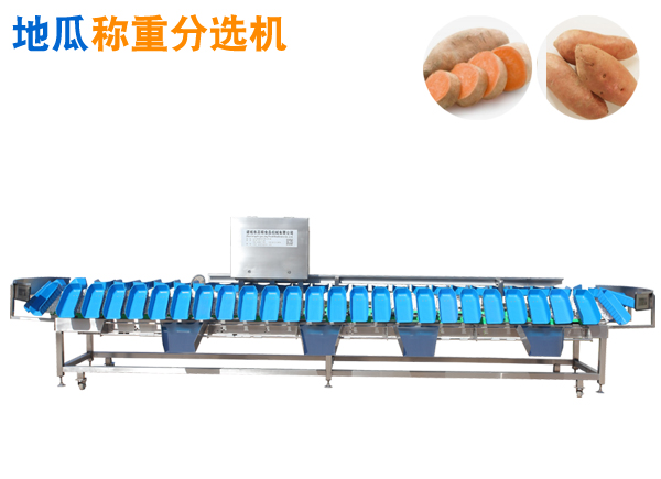 紅薯重量分選機(jī) 甘薯分揀機(jī) 地瓜選果機(jī) 紅薯稱重分選機(jī) 分級機(jī)